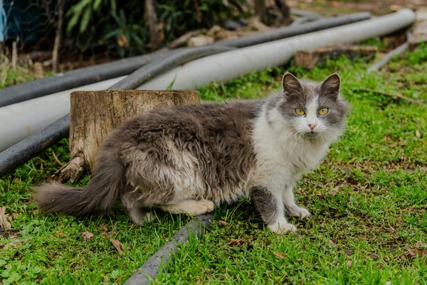 Quelles doivent être les priorités dans le suivi médical des personnes âgées ?